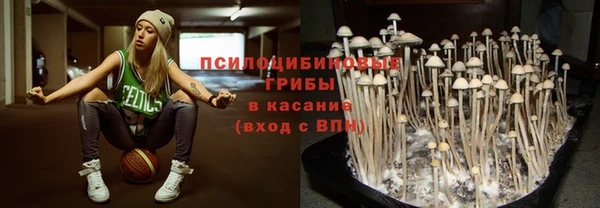 гашик Заволжск
