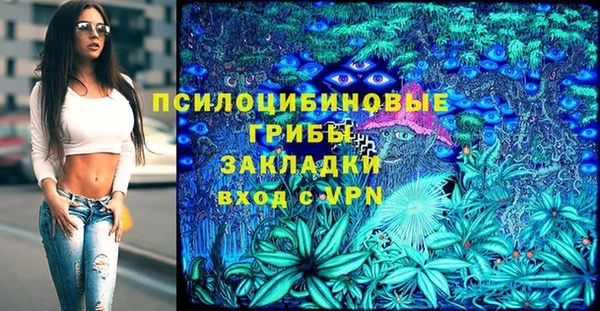 соль ск Заволжье