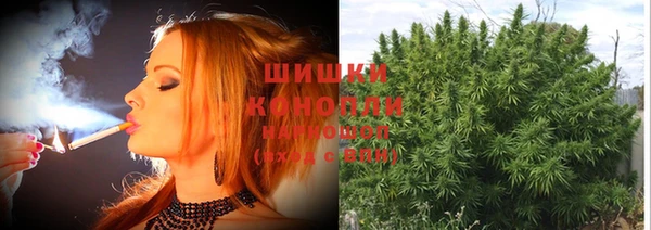гашик Заволжск