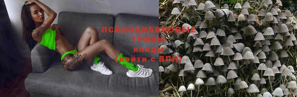 гашик Заволжск