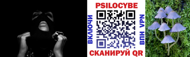 Псилоцибиновые грибы мухоморы darknet телеграм Сенгилей хочу